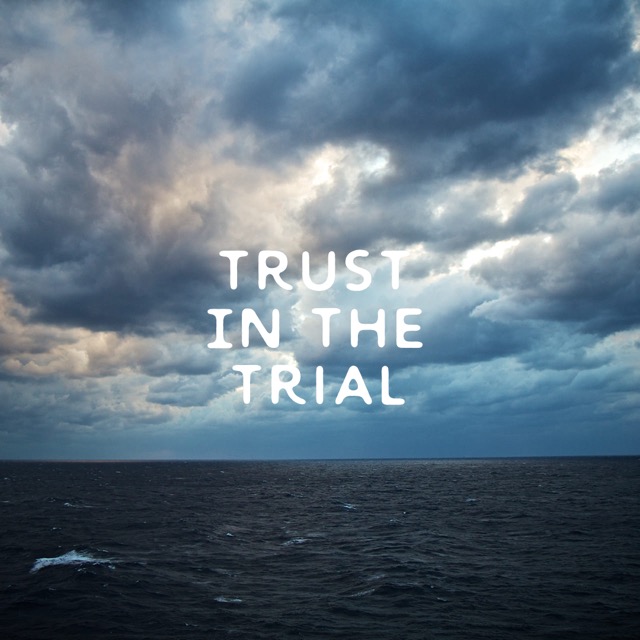 Trust in the Trial #5